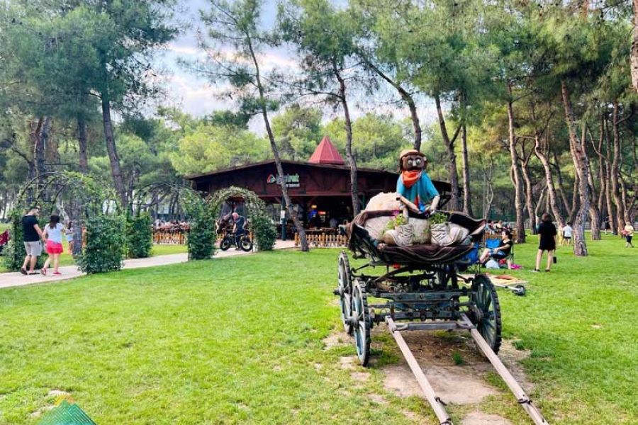 Hayat Park mit Bäumen, Parkanlage, Menschen, Picknick und Freizeitaktivitäten