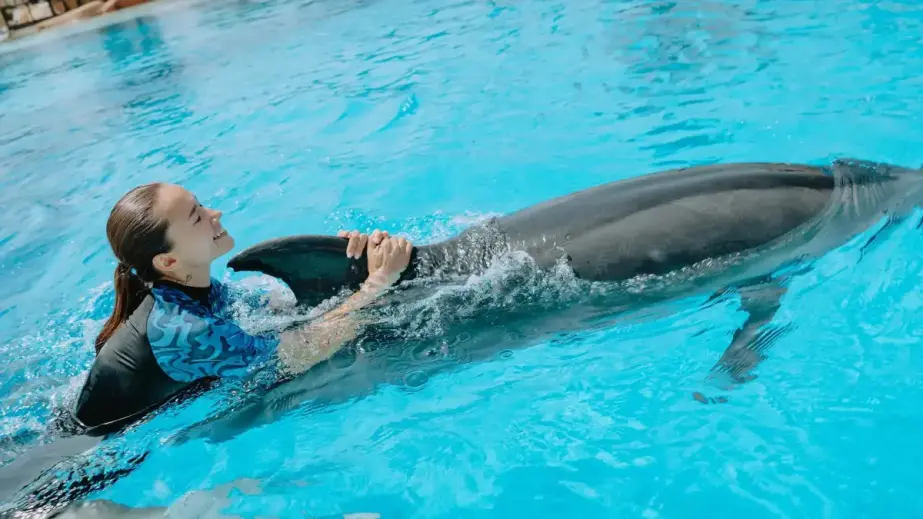 Überblick über das Delfinbecken im Bereich Dolphin Land von The Land of Legends